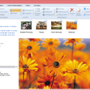 Windows 11 - cPicture (x64 bit) 4.1 screenshot